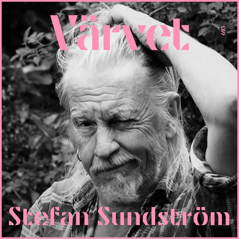 KORT Stefan Sundström: ”Det finns ett pornografiskt intresse av folks tillkortakommanden” artwork