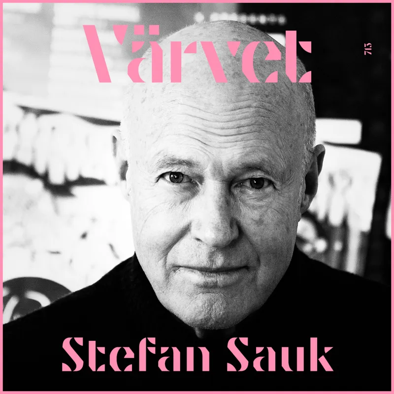 STEFAN SAUK: Konflikterna, karriären och ärlighetens pris artwork