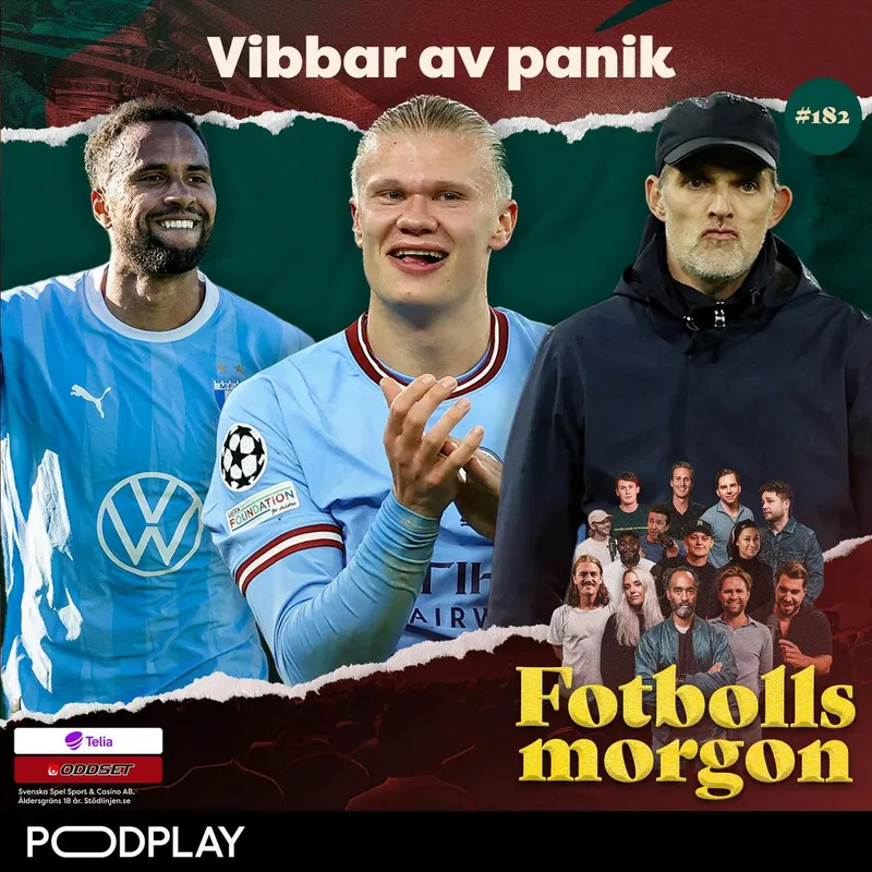182. Vibbar av panik (Kortversion) artwork