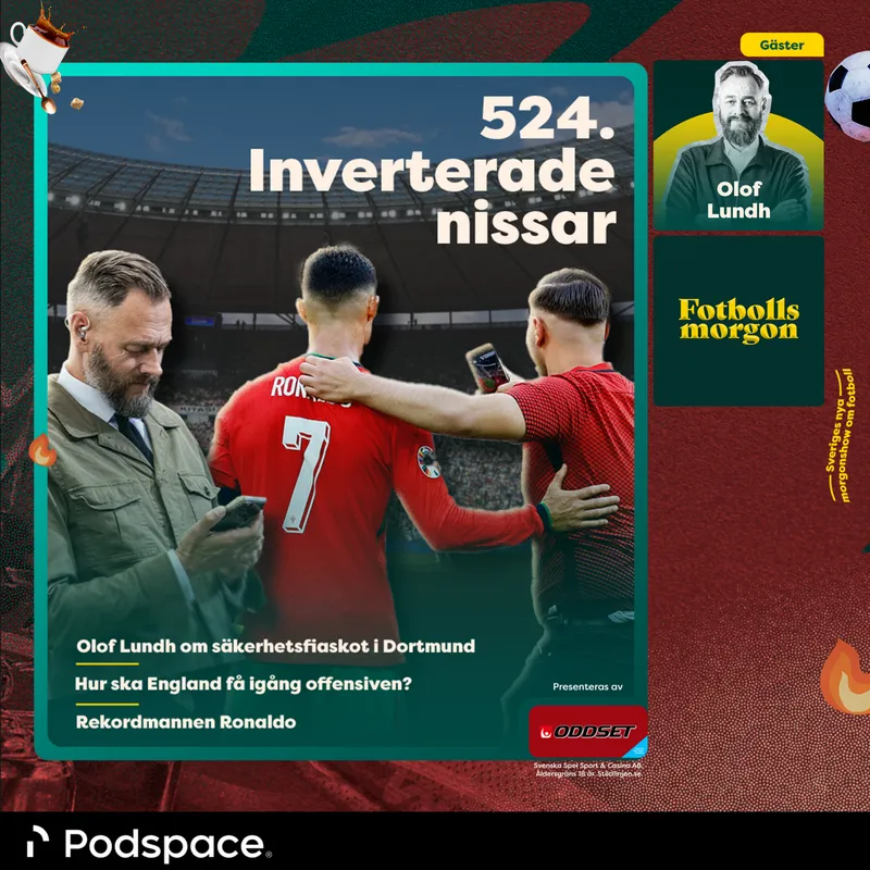 524. Inverterade nissar artwork