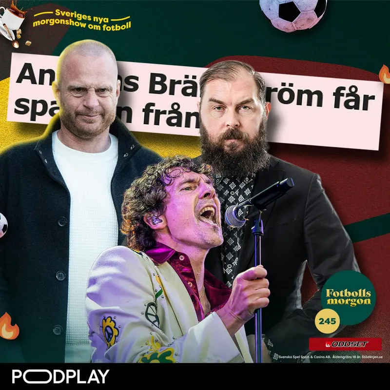 245. Sveriges största biltvätt artwork