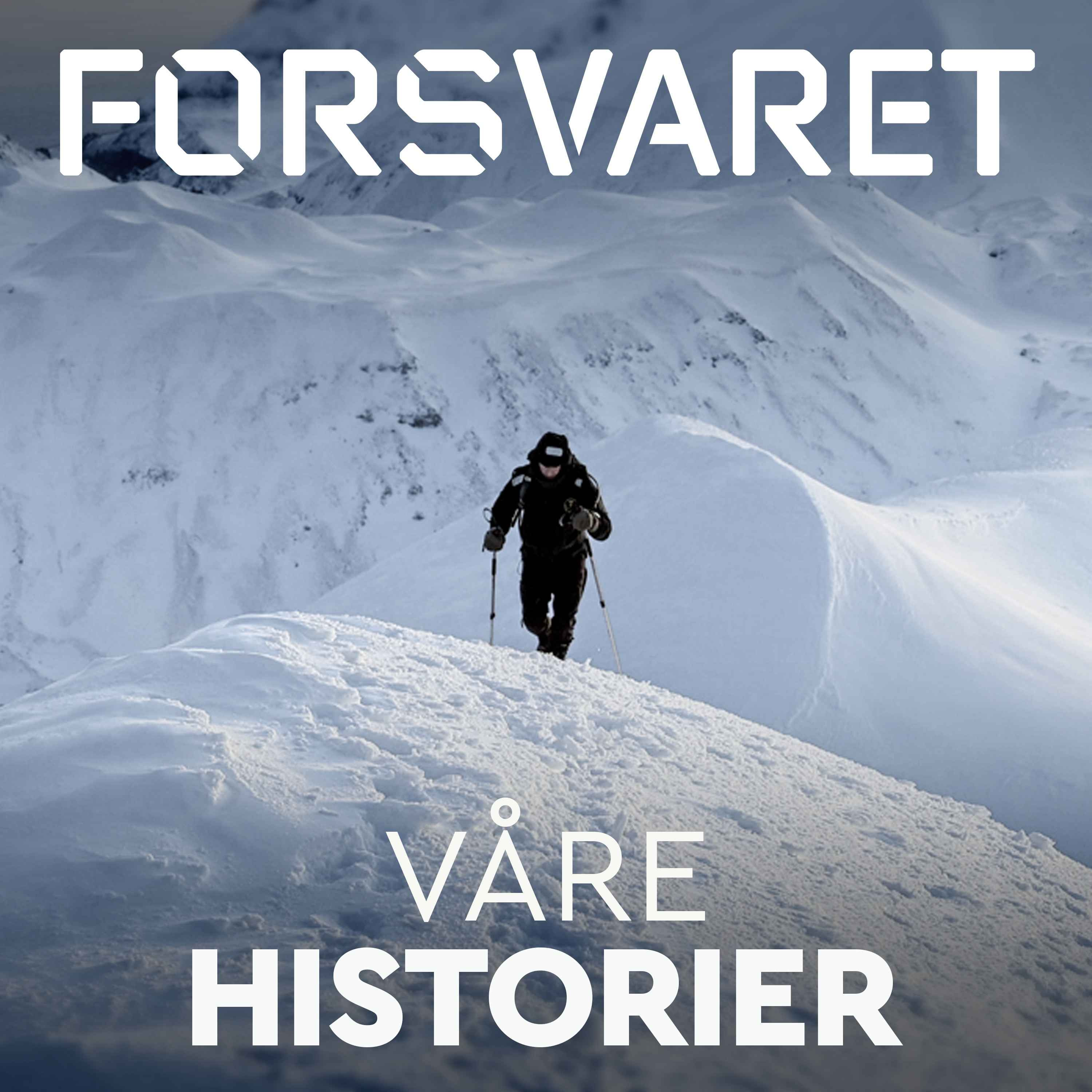 Skredet på Jan Mayen (2:3) artwork