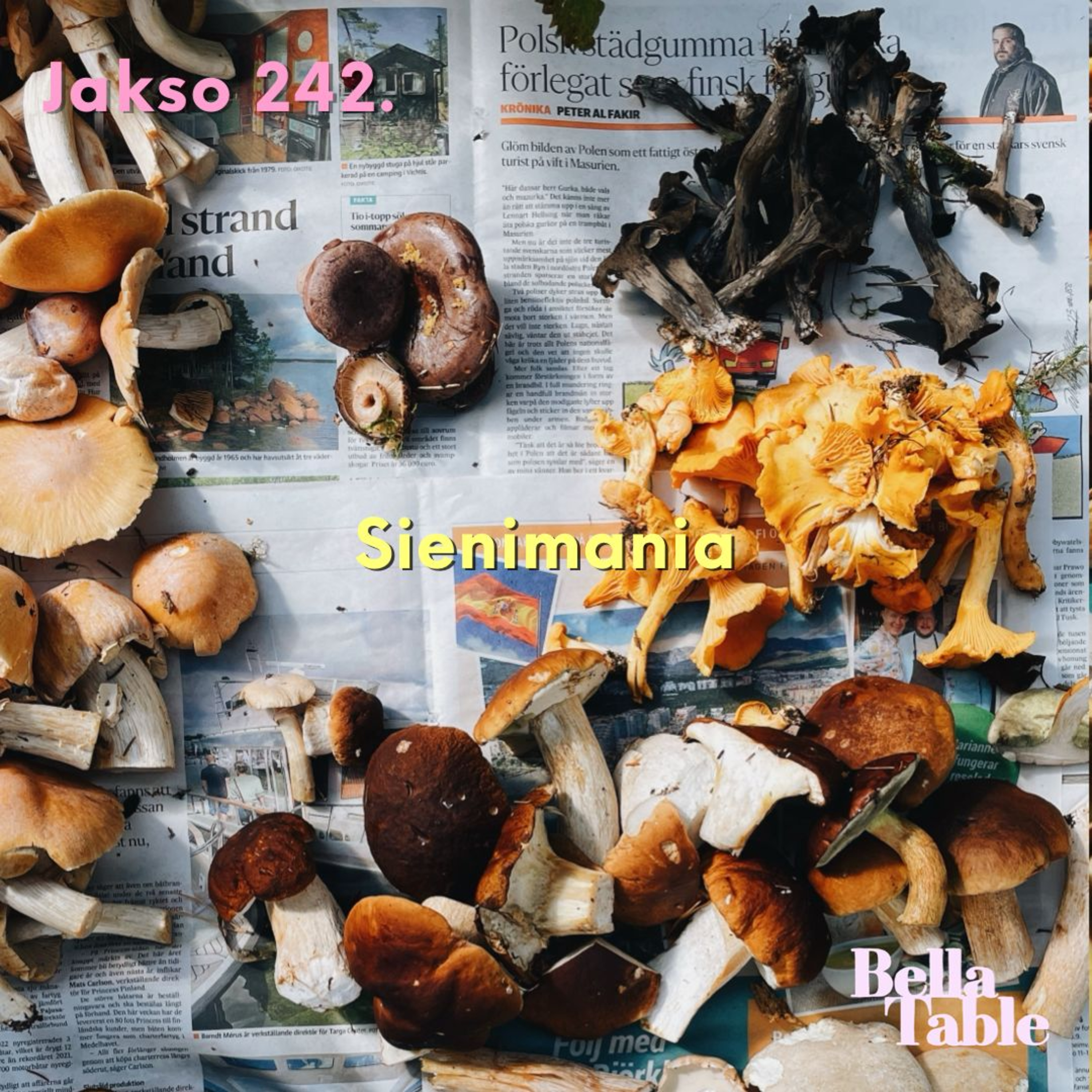 242. Sienimania artwork