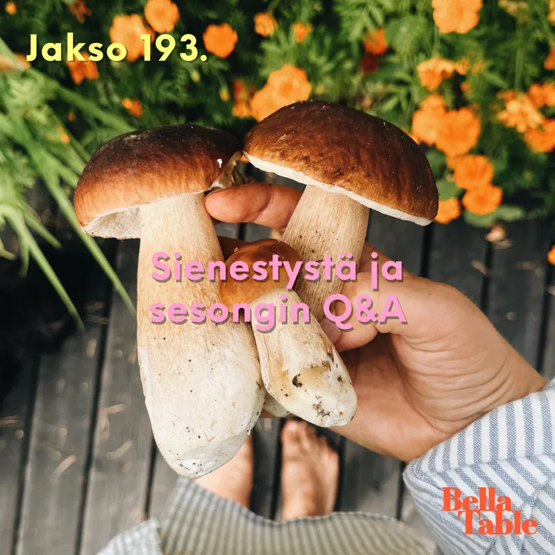 193. Sienestystä ja sesongin Q&A artwork