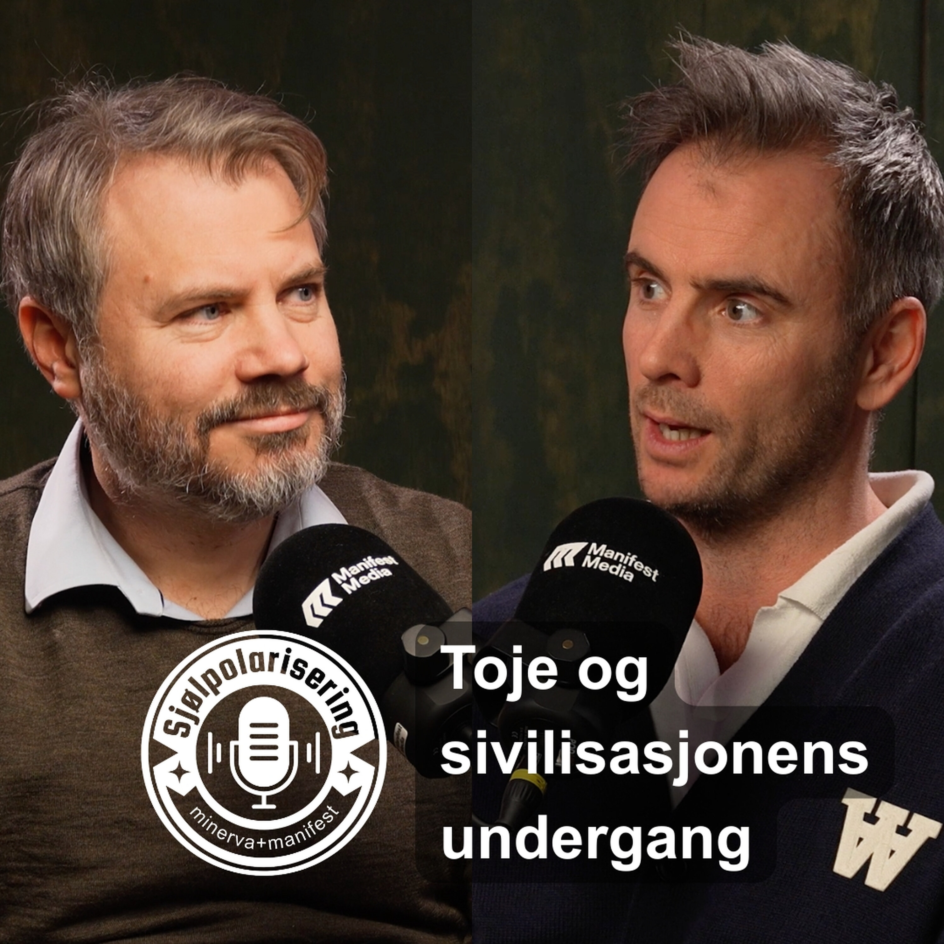 Sjølpolarisering: Toje og sivilisasjonens undergang artwork
