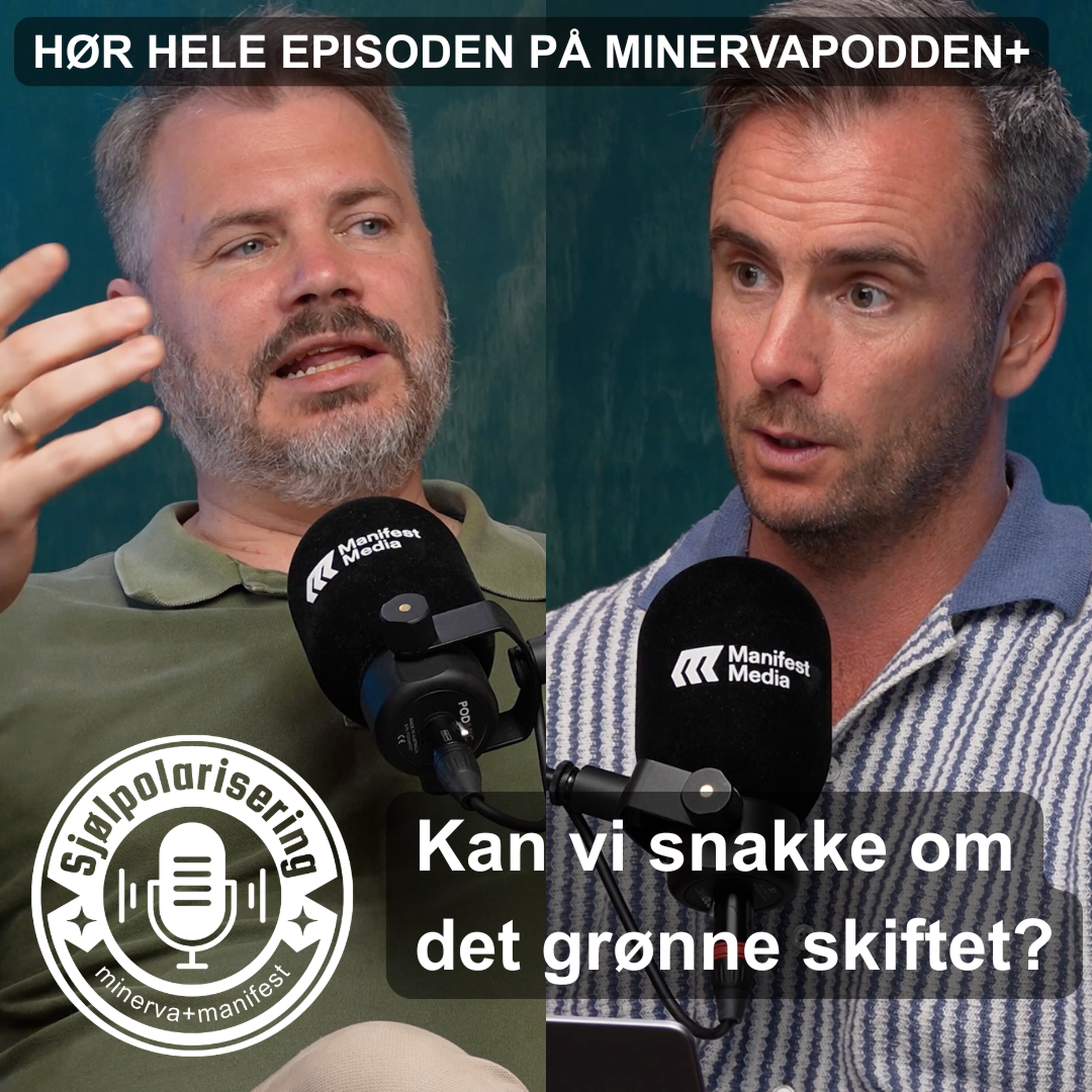 Sjølpolarisering: Kan vi snakke om det grønne skiftet? artwork