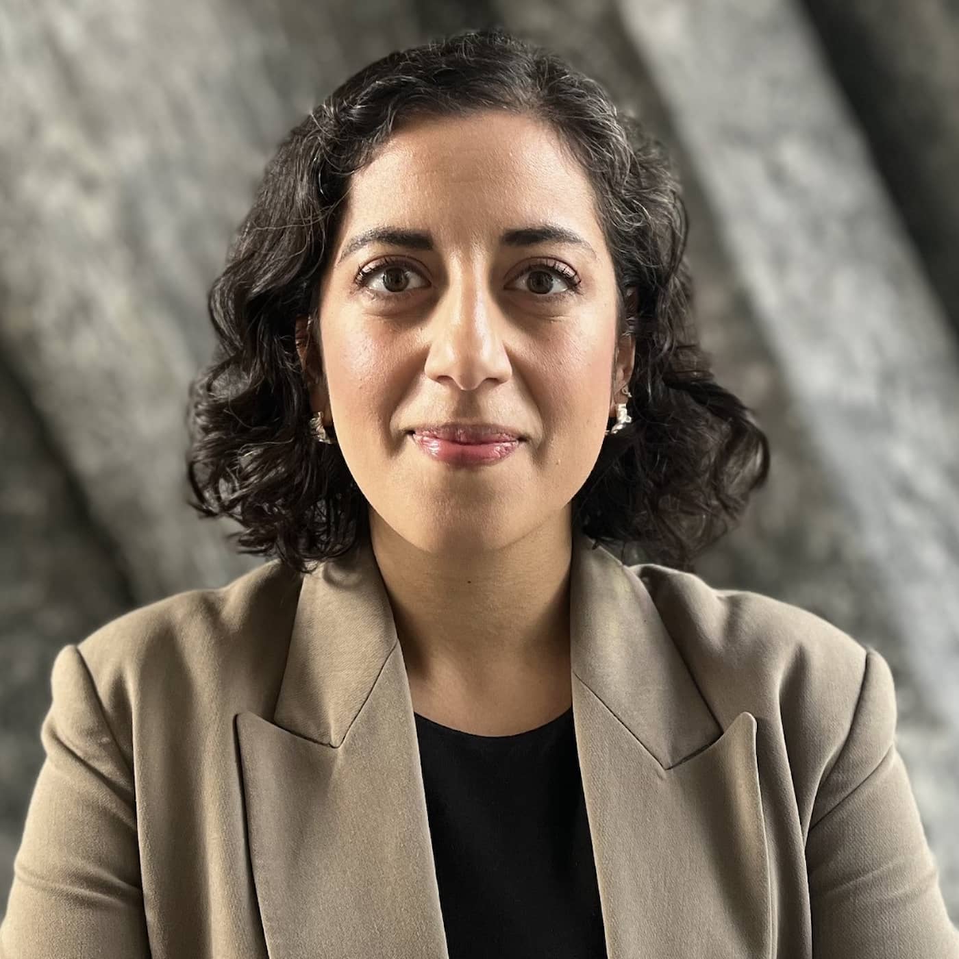 Simona Mohamsson (L): ”Helst vill jag ha en liberal statsminister” artwork