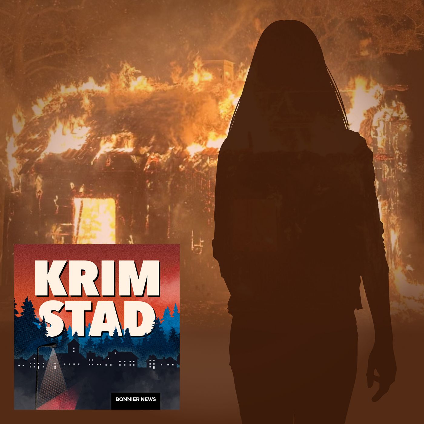 Mordbränderna spred skräck i Tranås: “Det var jätteobehagligt" artwork