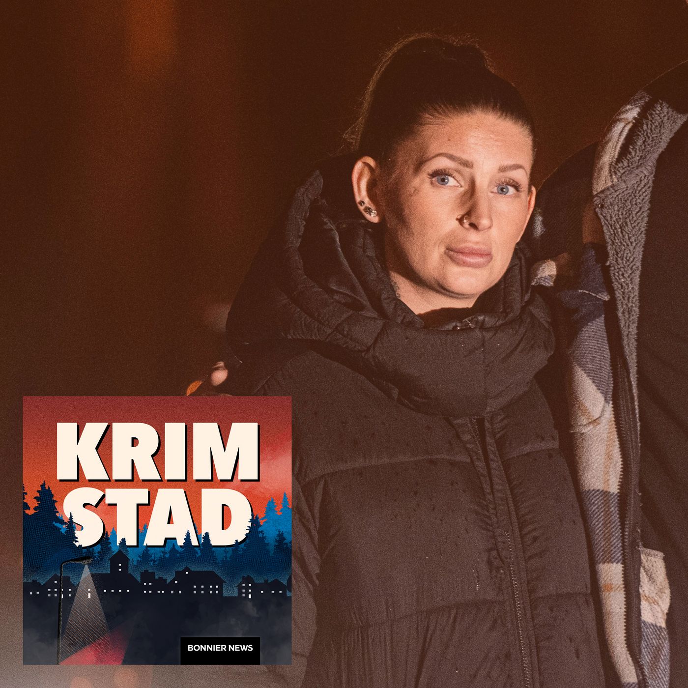 Sofia lade sig för att sova – överfölls av okänd man artwork