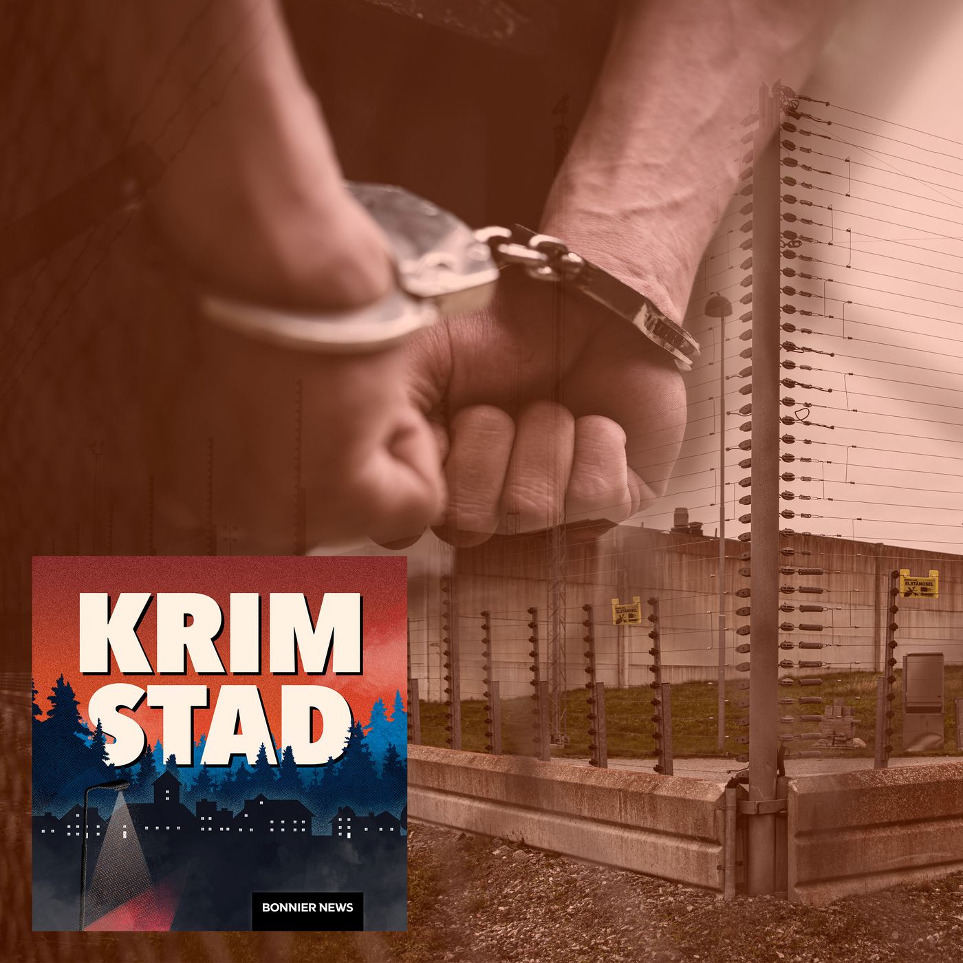 SPECIALAVSNITT: Hur vet man att en mördare inte dödar igen? artwork