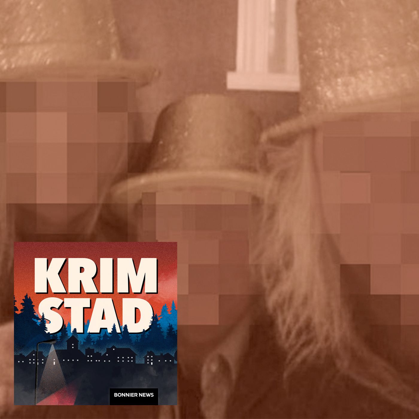 REPRIS: Nyårsmordet: "Det är någon mardröm man är i" artwork