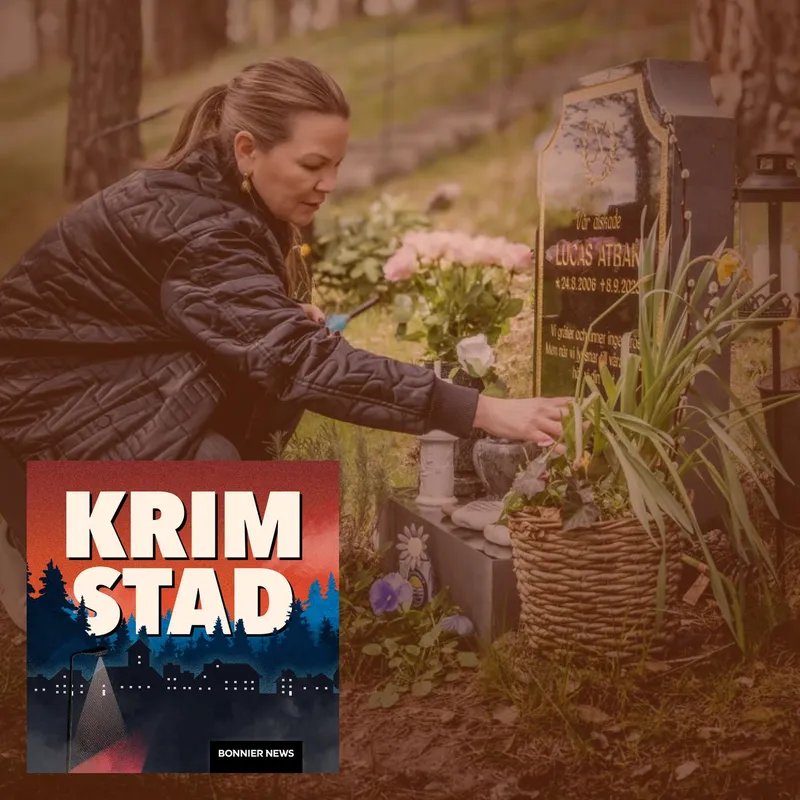 Åsas son blev misshandlad till döds – saknade samhällets stöd artwork