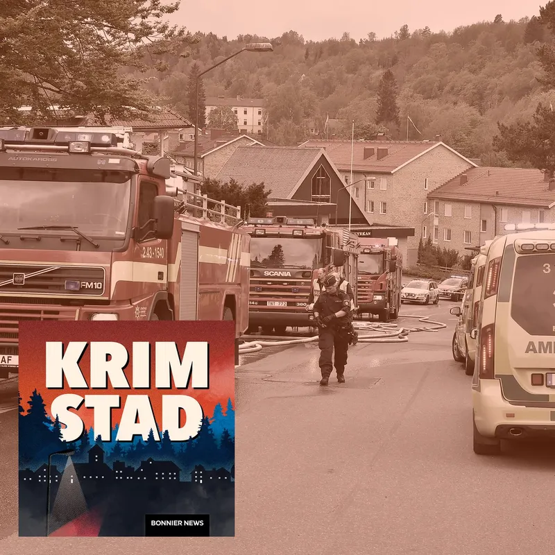 En oväntad mördare - Mordbibeln (1/2) artwork
