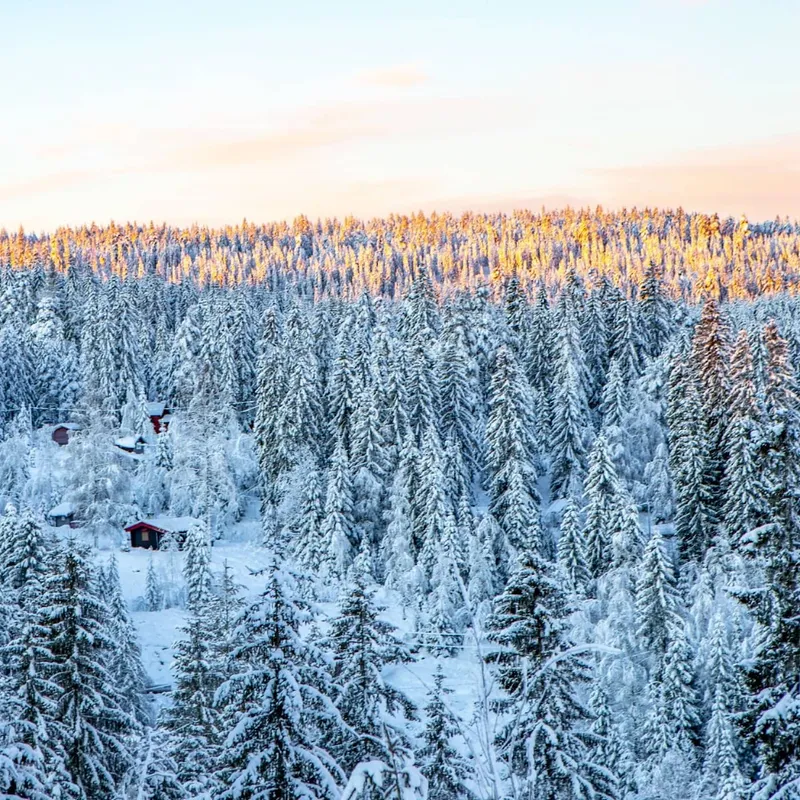 Julklappsböcker och romerska ryttartävlingar artwork