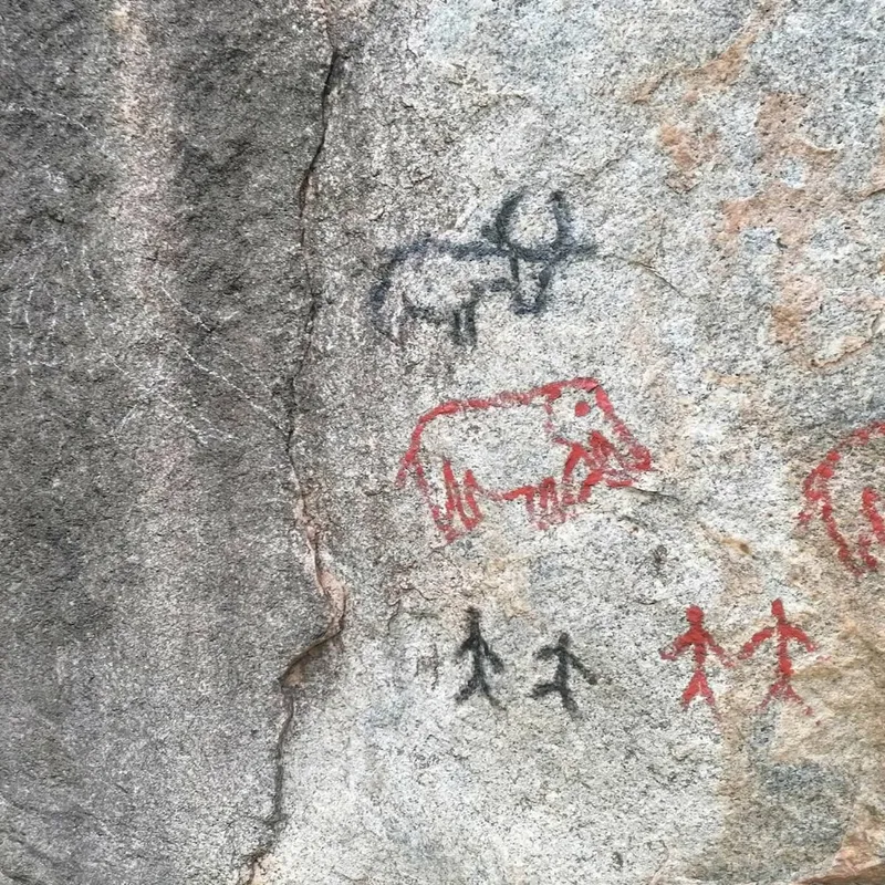 Moderna hällbilder ger ledtrådar till bronsåldern artwork