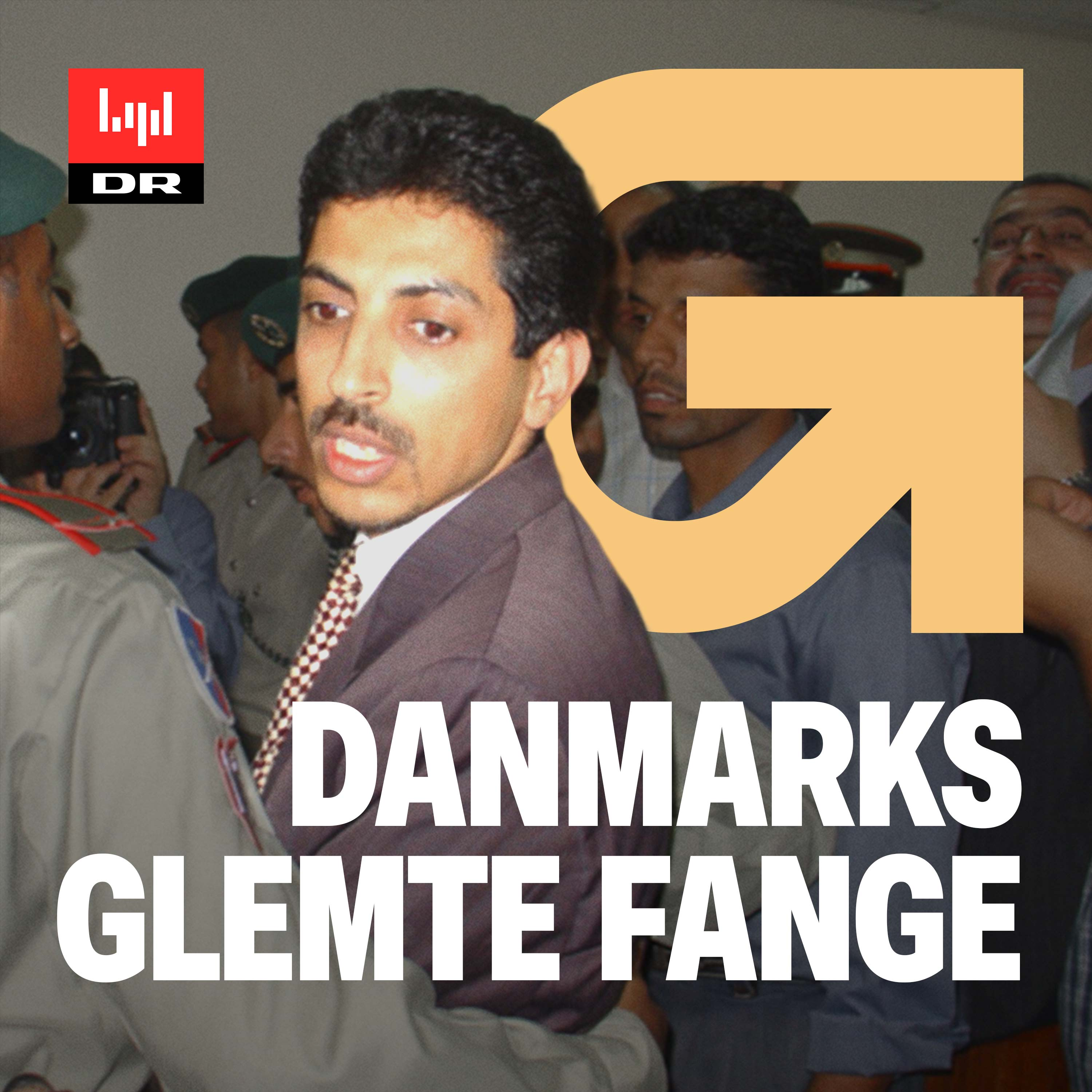 2:4 - Danmarks glemte fange artwork