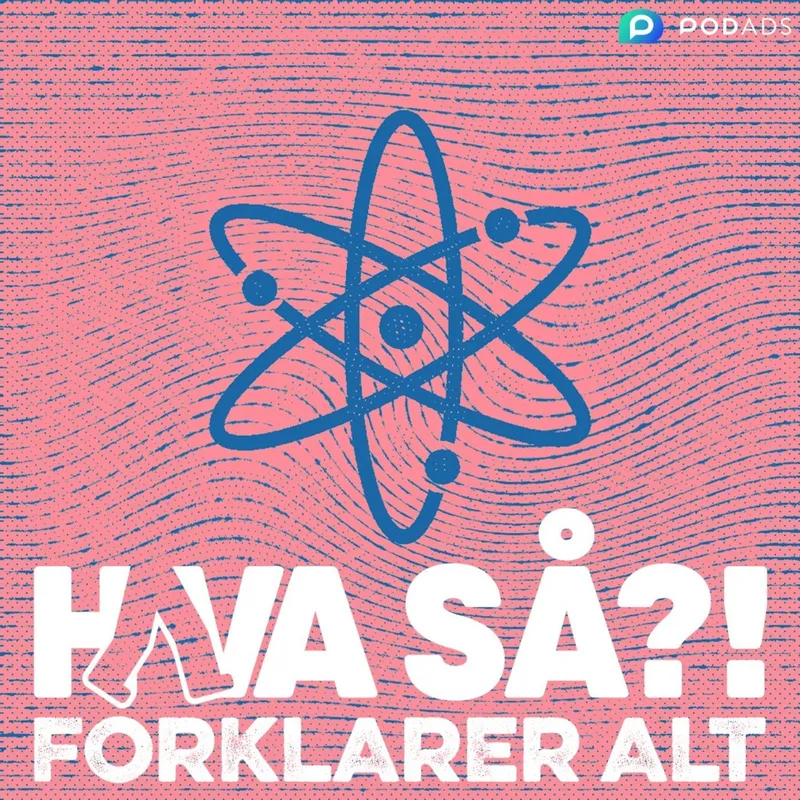 Hva så?! forklarer alt - Livets byggesten artwork