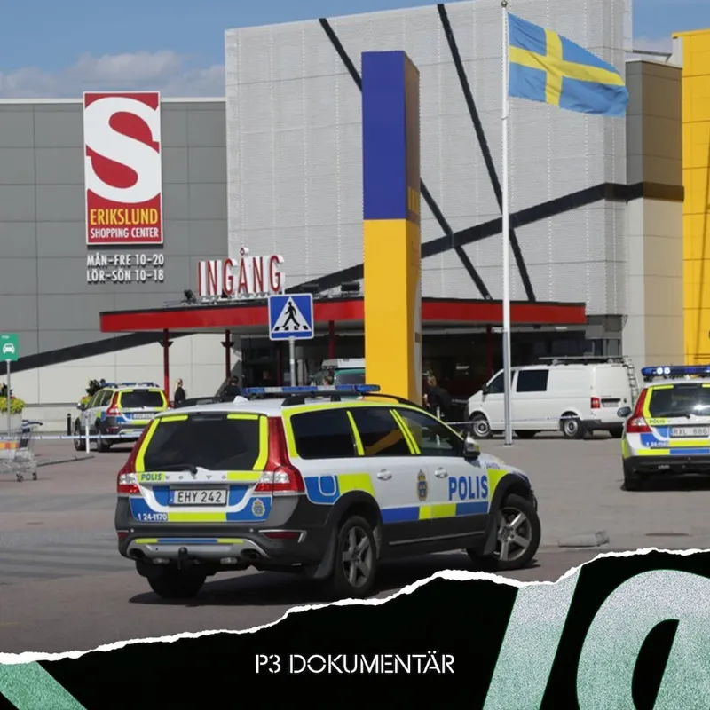 Dubbelmordet på Ikea artwork