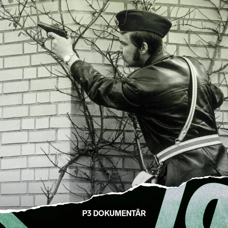 Dramat på västtyska ambassaden artwork