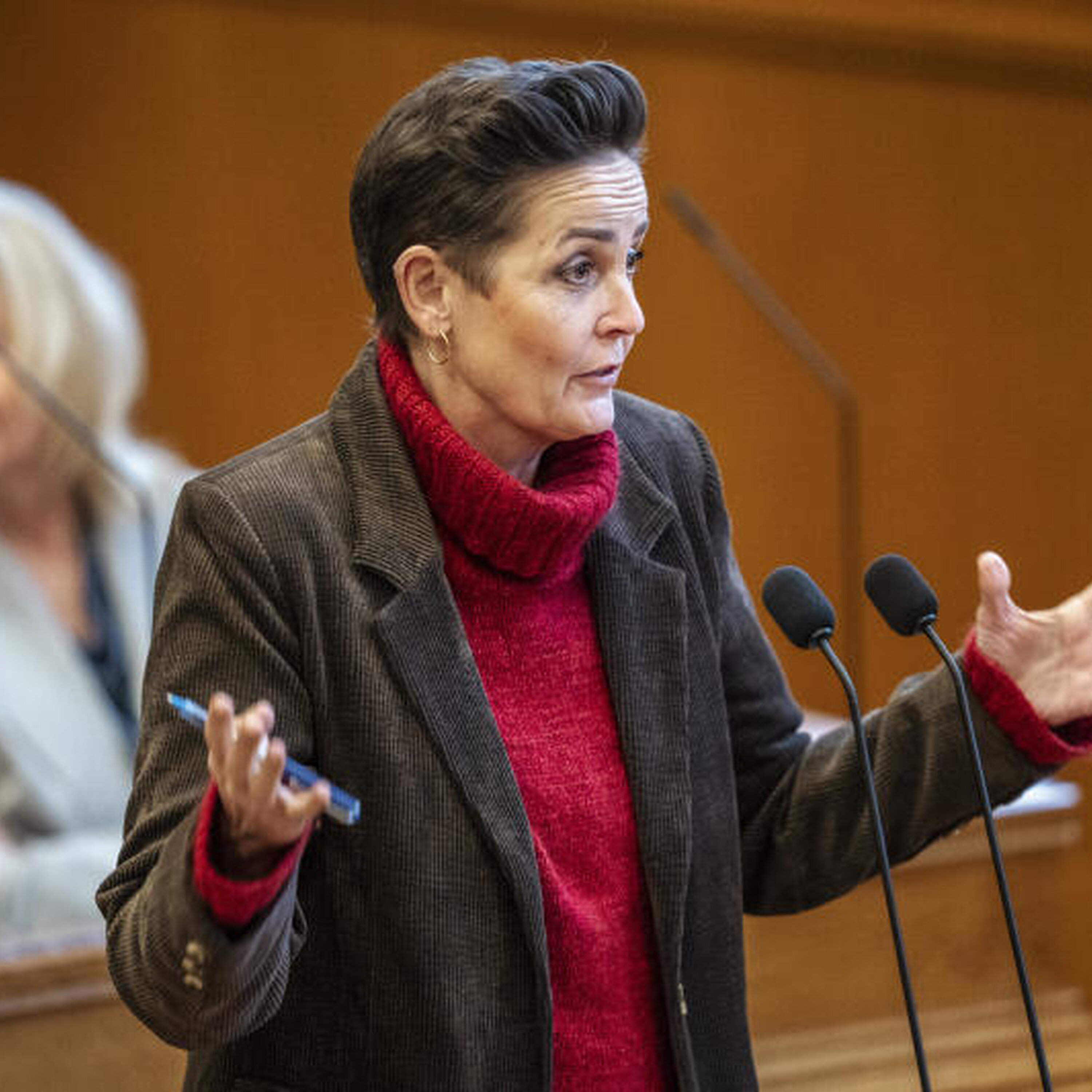 Pia Olsen Dyhr vil tvinge Mette Frederiksen til venstre (med nytårsgæst Pia Olsen Dyhr) artwork