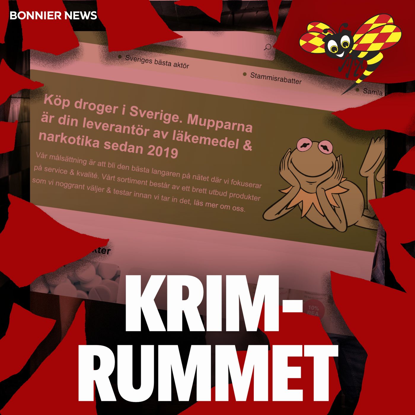 Operation "Brevduvan" – så stoppade polisen knarkbreven artwork
