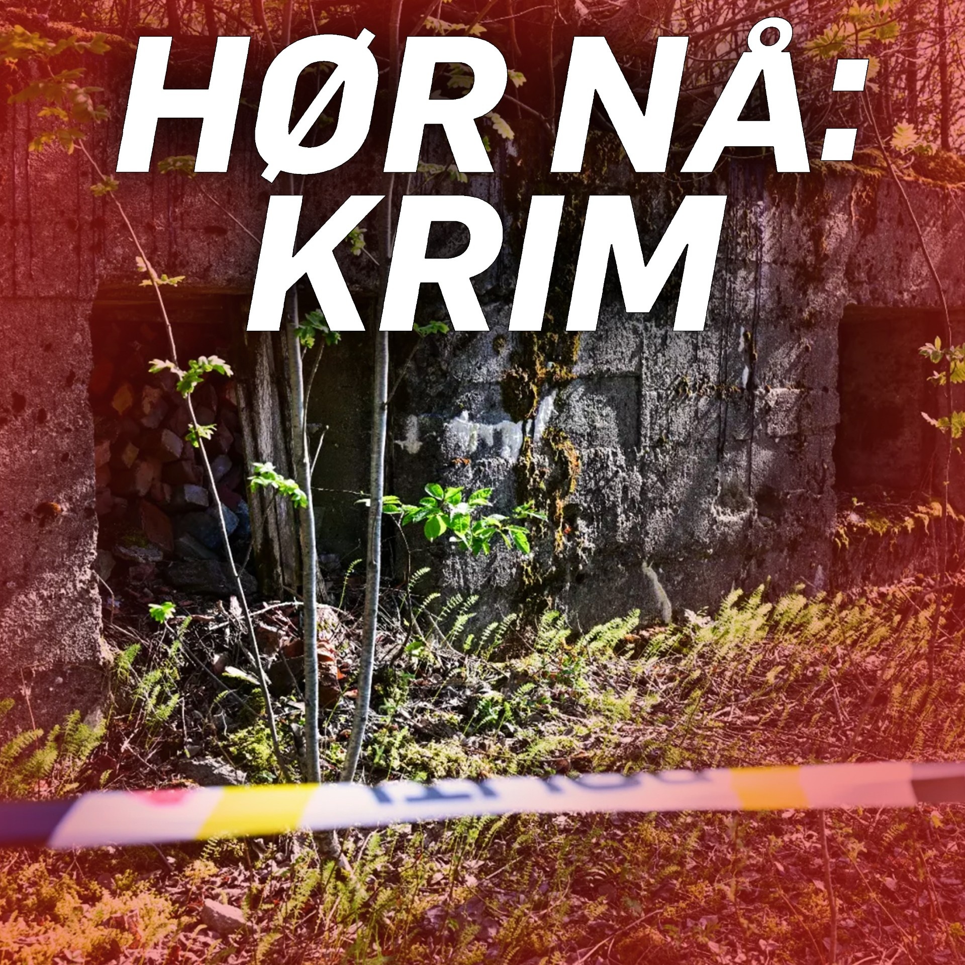 PST: Spionsiktet kineser hadde «tilhold i norsk bunker» artwork