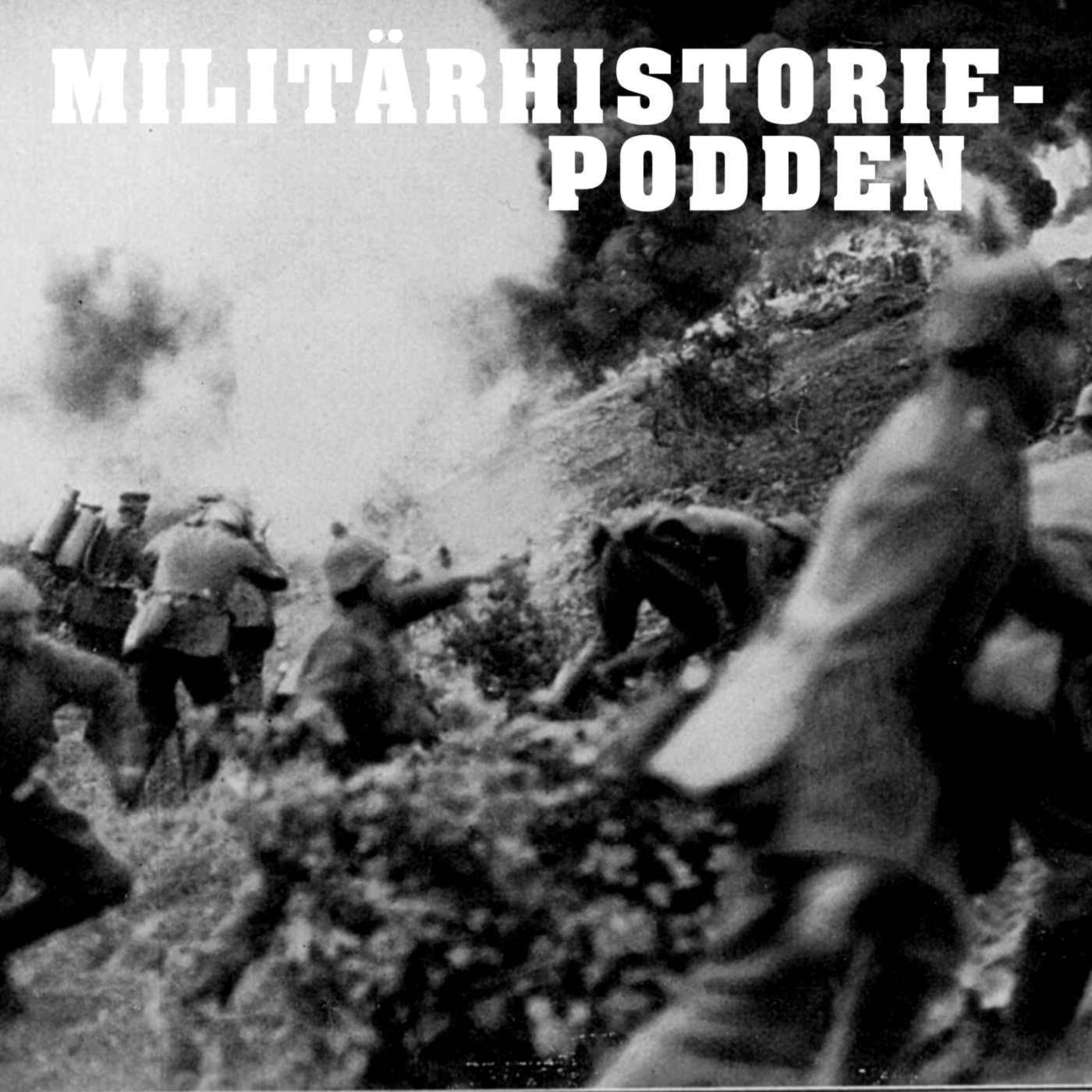 Förintelsekampen vid Verdun 1916 artwork
