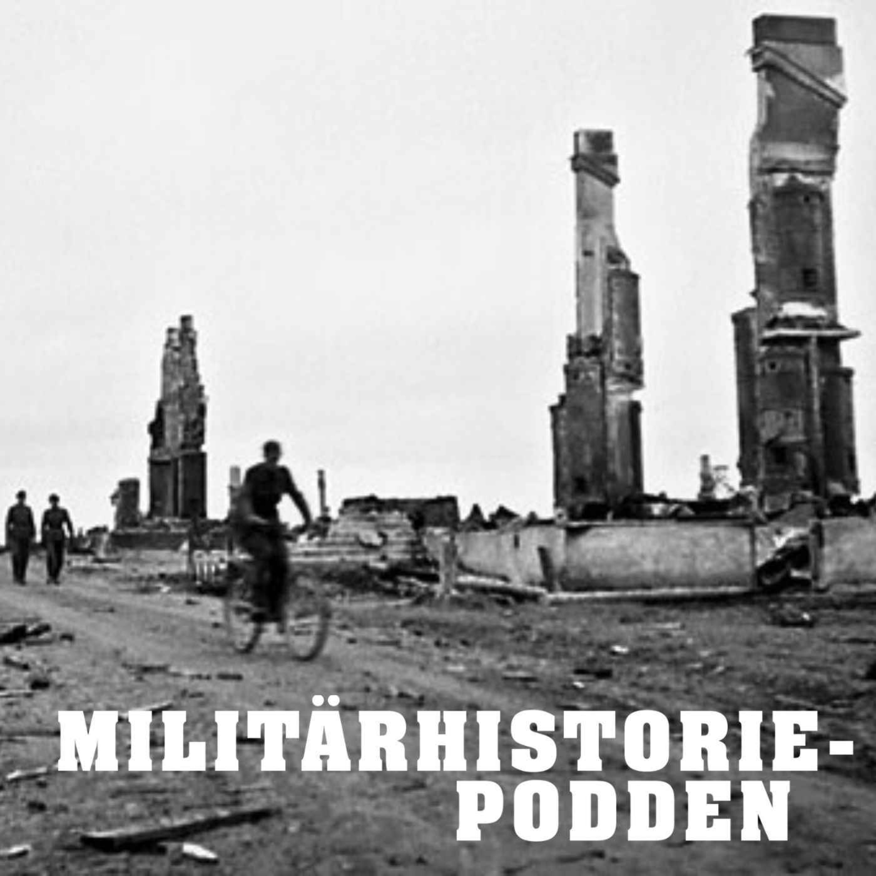 Lapplandskriget 1944-45 – de ovilliga kombattanterna artwork