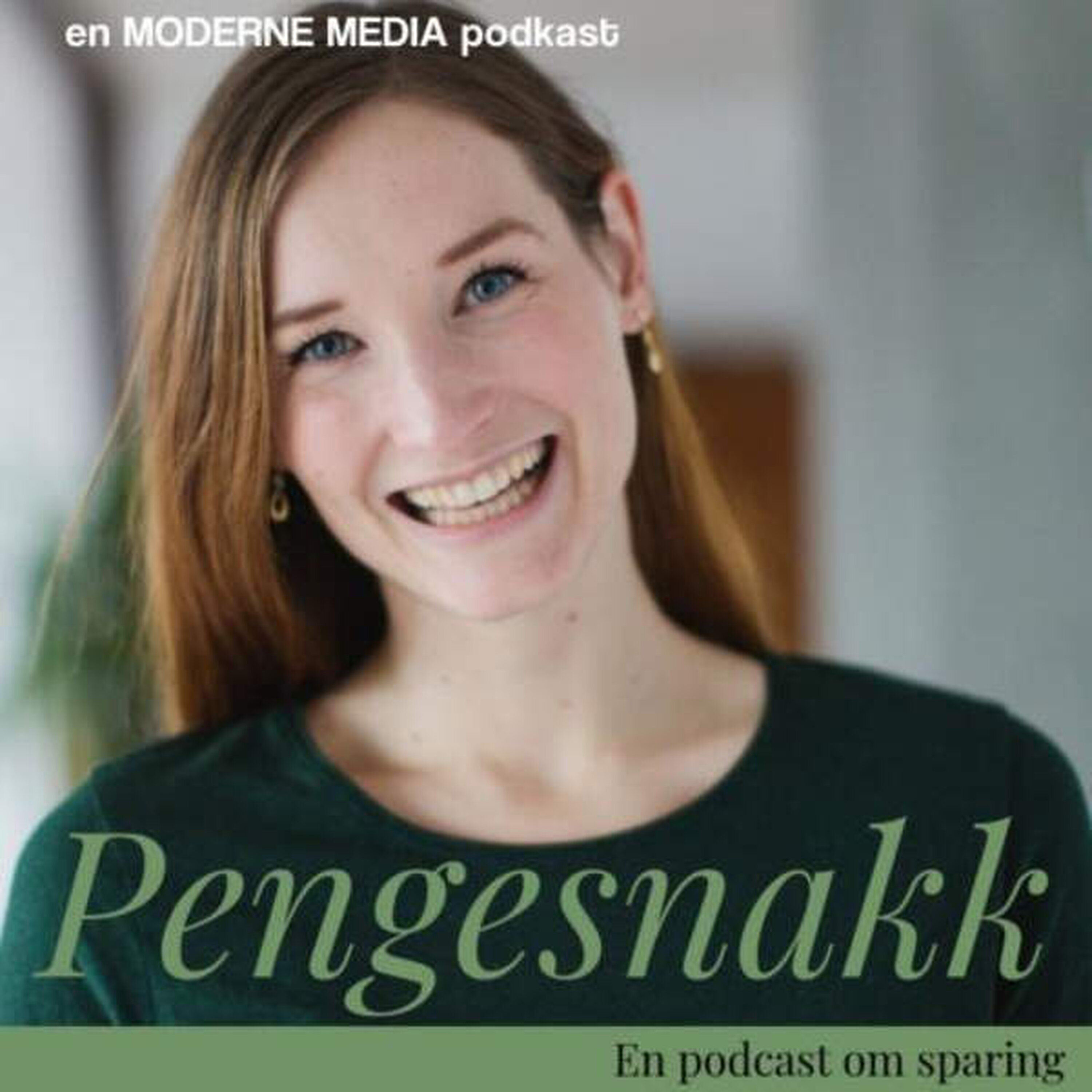 230: Unngå å leve fra lønn til lønn artwork