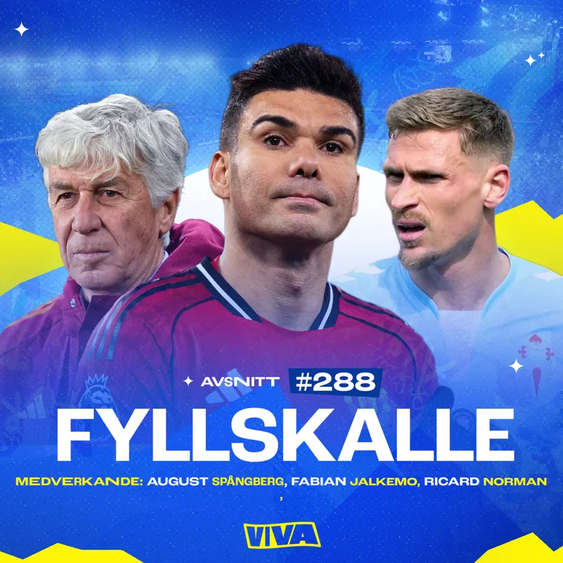 #288 Fyllskalle artwork