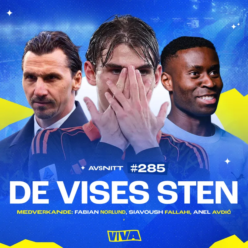 #285 De vises sten artwork