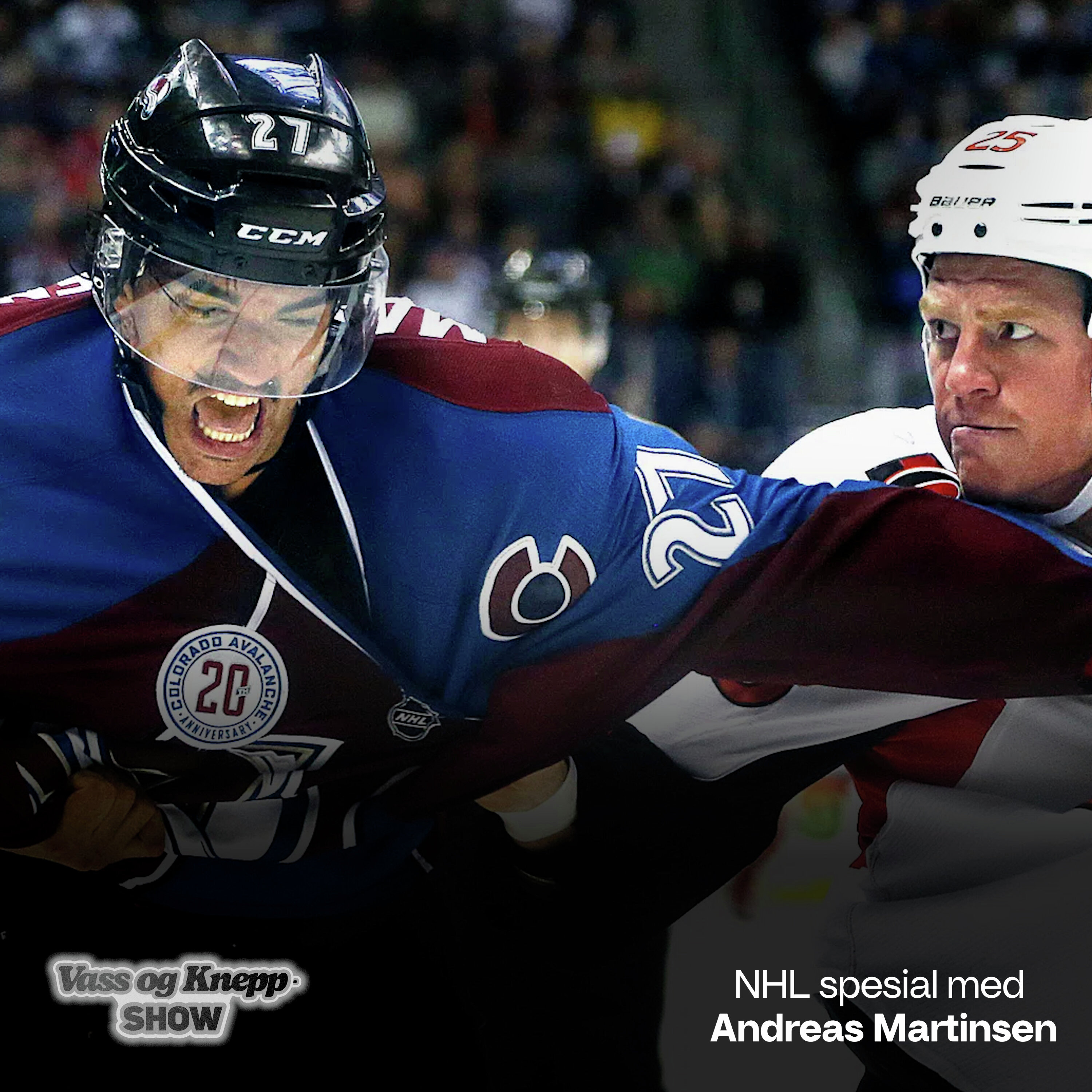 Rareste lagkamerat i NHL? artwork
