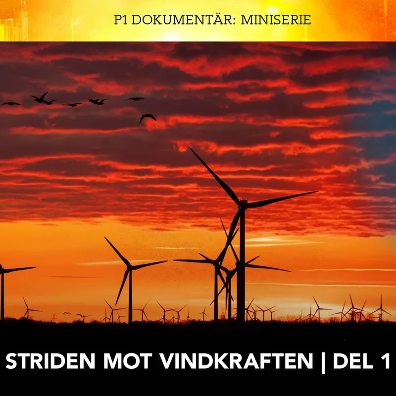 Striden mot vindkraften – Granne med vindkraftsparken artwork