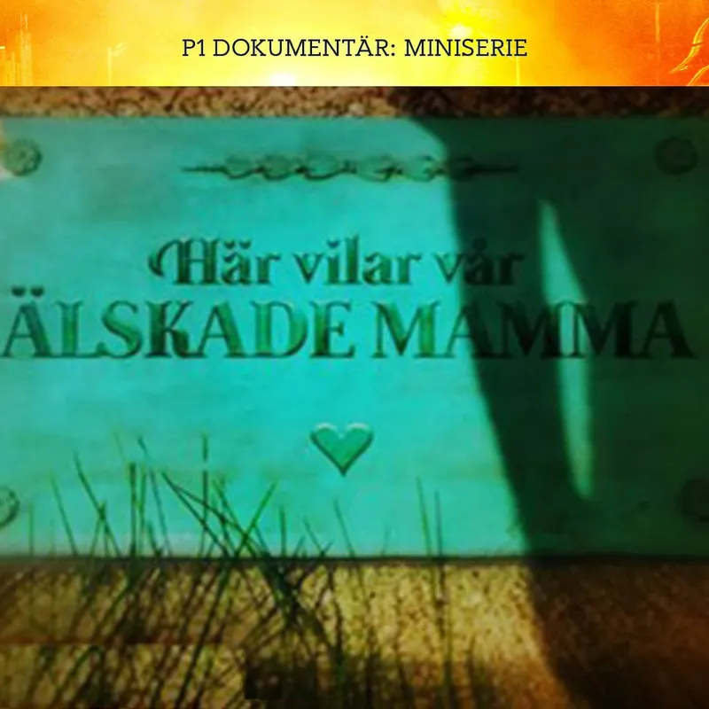 De mördade sin mamma - Ensambarnet | Del 2/3 artwork