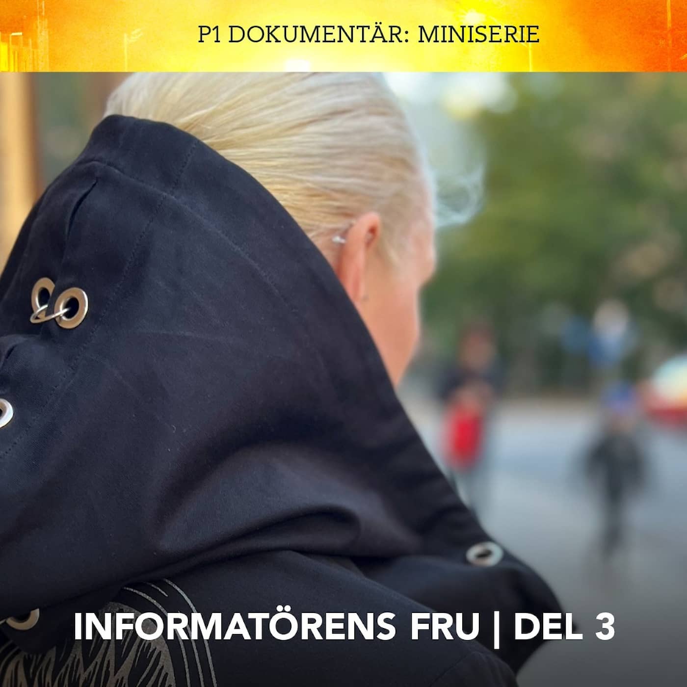 Informatörens fru – Gömda | Del 3/3 artwork