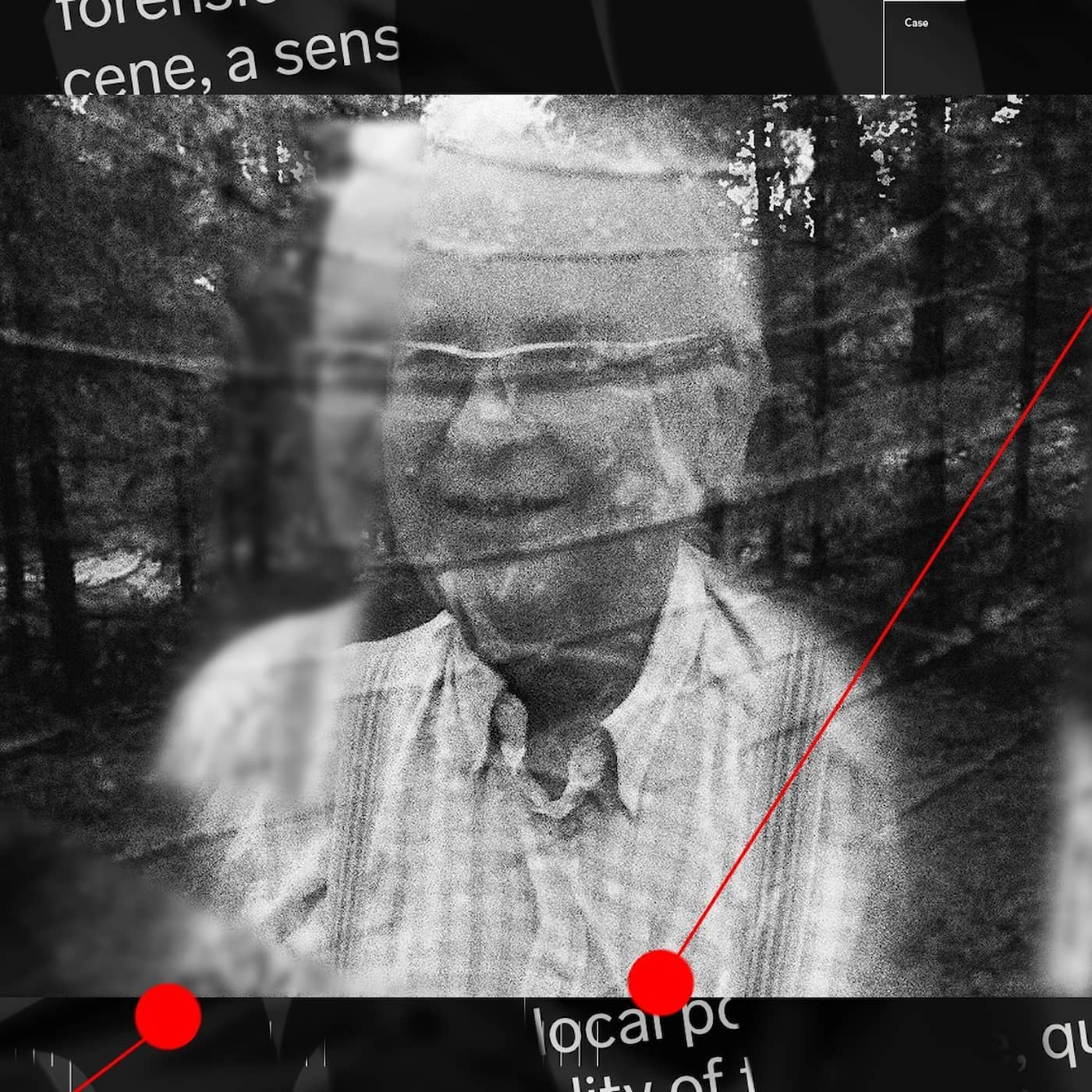 Gert-Inge hittades dödad i skogen – misstänkta skyllde på varandra artwork