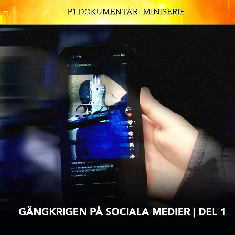 Gängkrigen på sociala medier – Gangsterism | Del 1/3 artwork