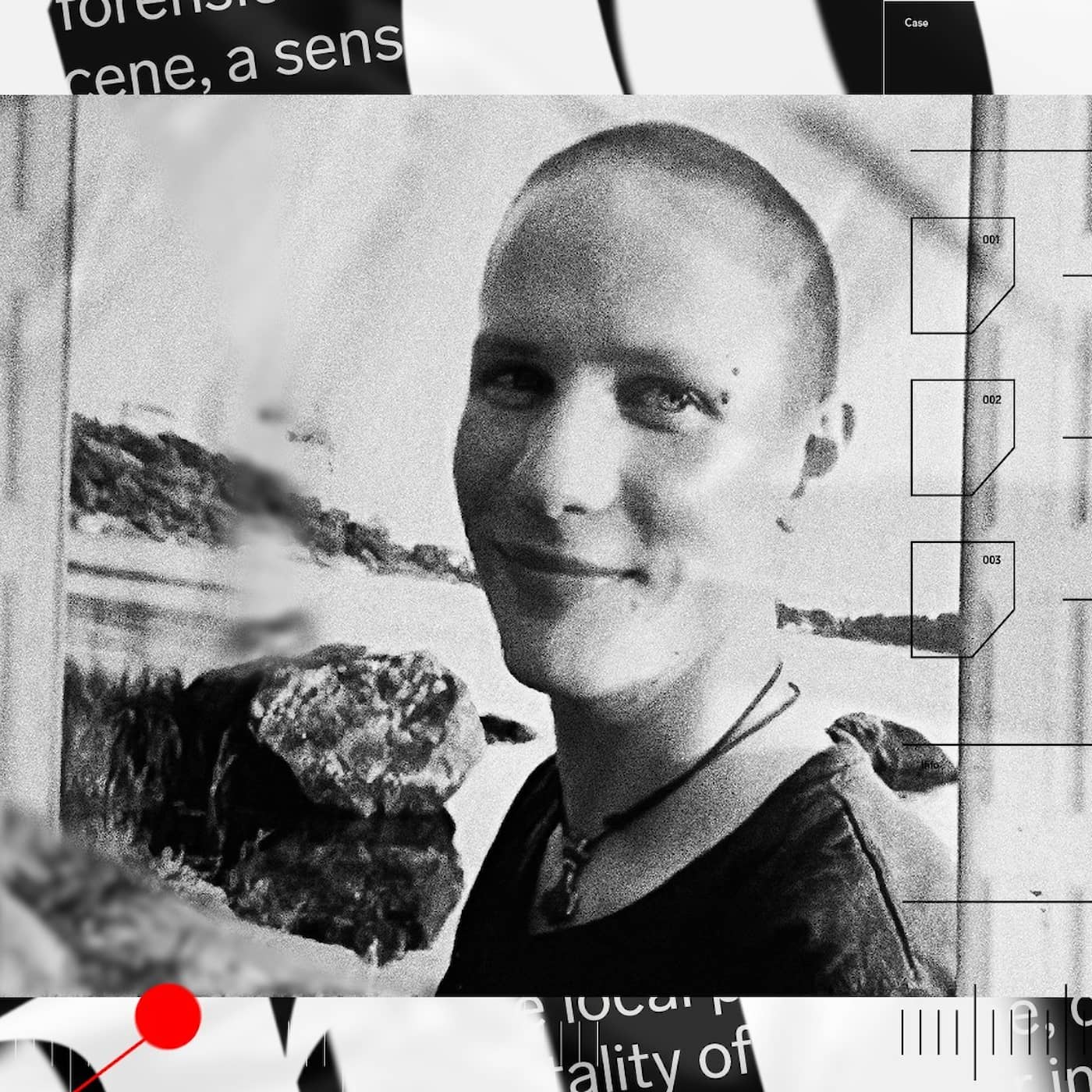 Kollegan erkände mordet på Peter – frikändes artwork