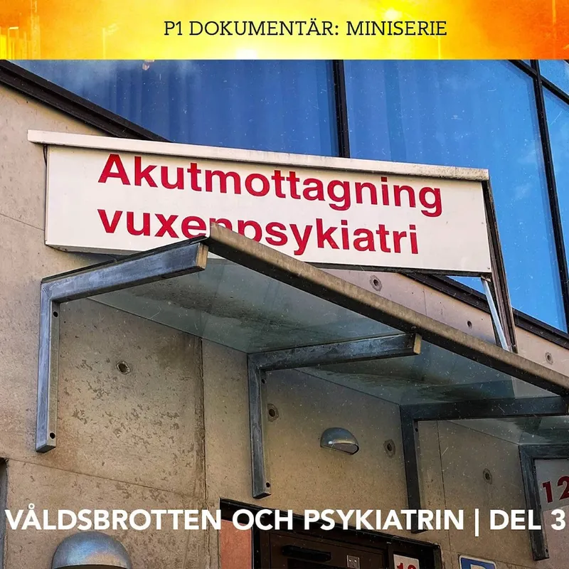 Våldsbrotten och psykiatrin – Vansinnesdådet | Del 3/3 artwork