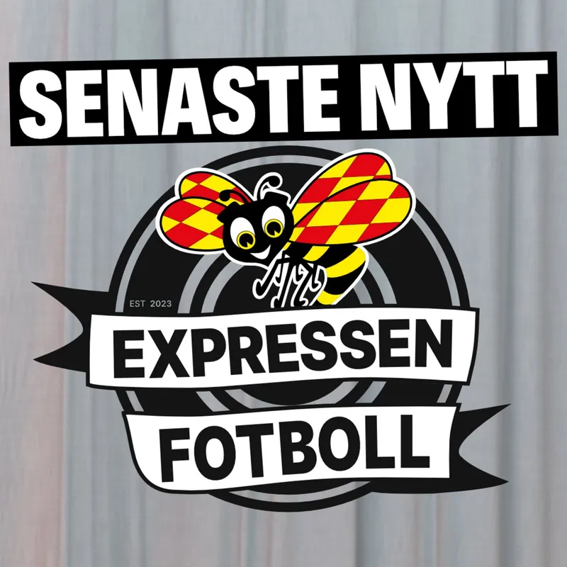 "Sverige ska vinna den här gruppen" artwork