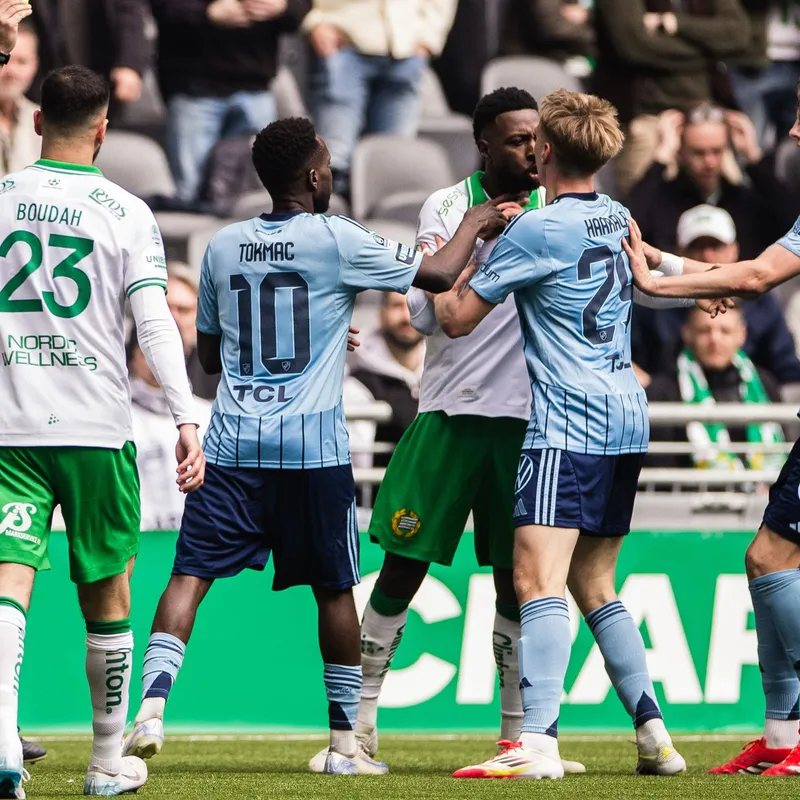 HAMMARBY-DJURGÅRDEN: ”Kungen av Stockholm” artwork