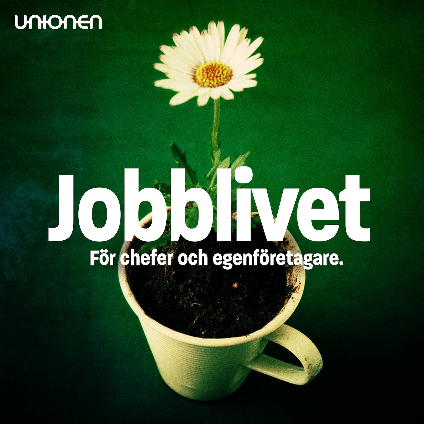 Annons från Unionen: Semesterkaoset kan undvikas – bästa tipsen till dig som chef artwork