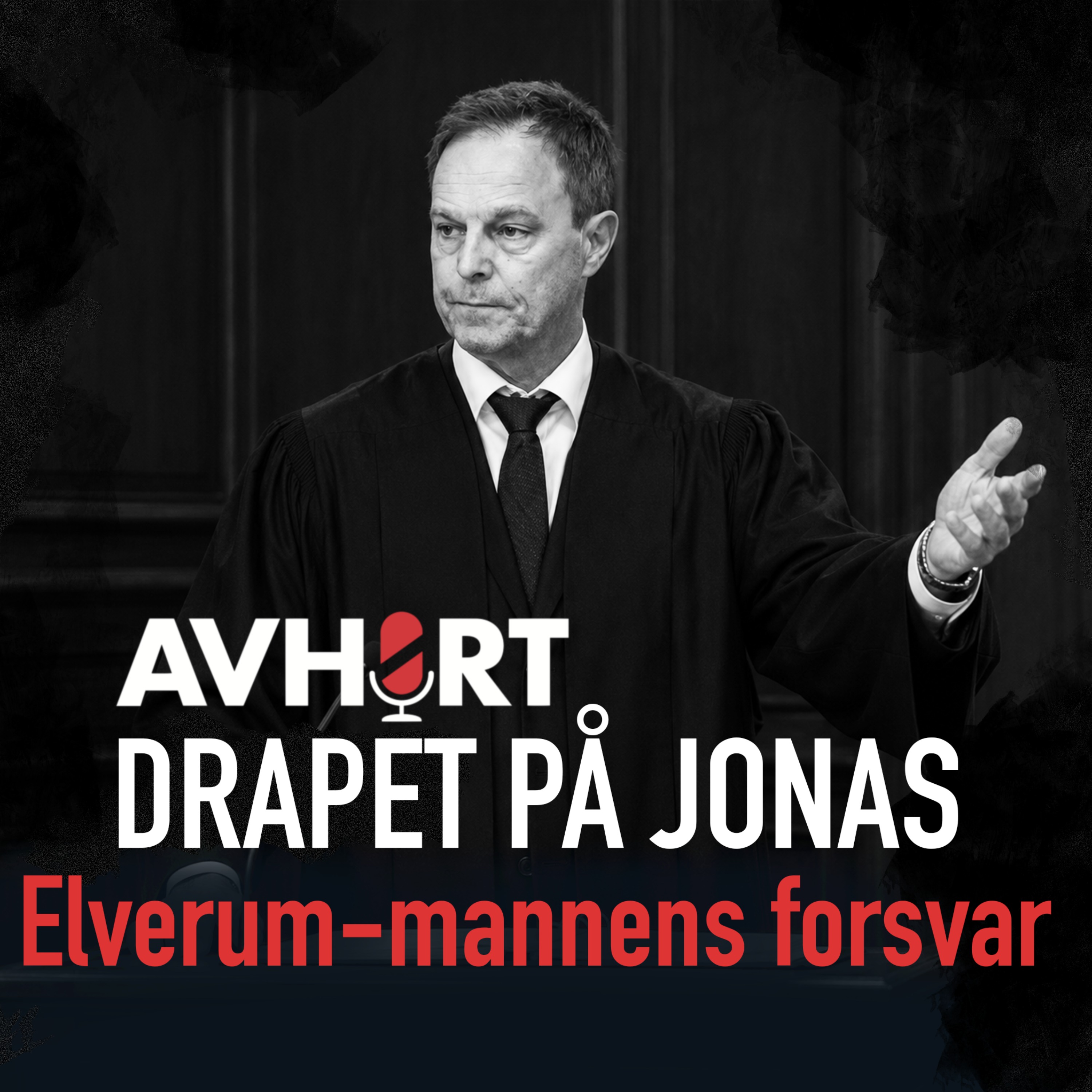 Drapet på Jonas: Elverum-mannens forsvar artwork