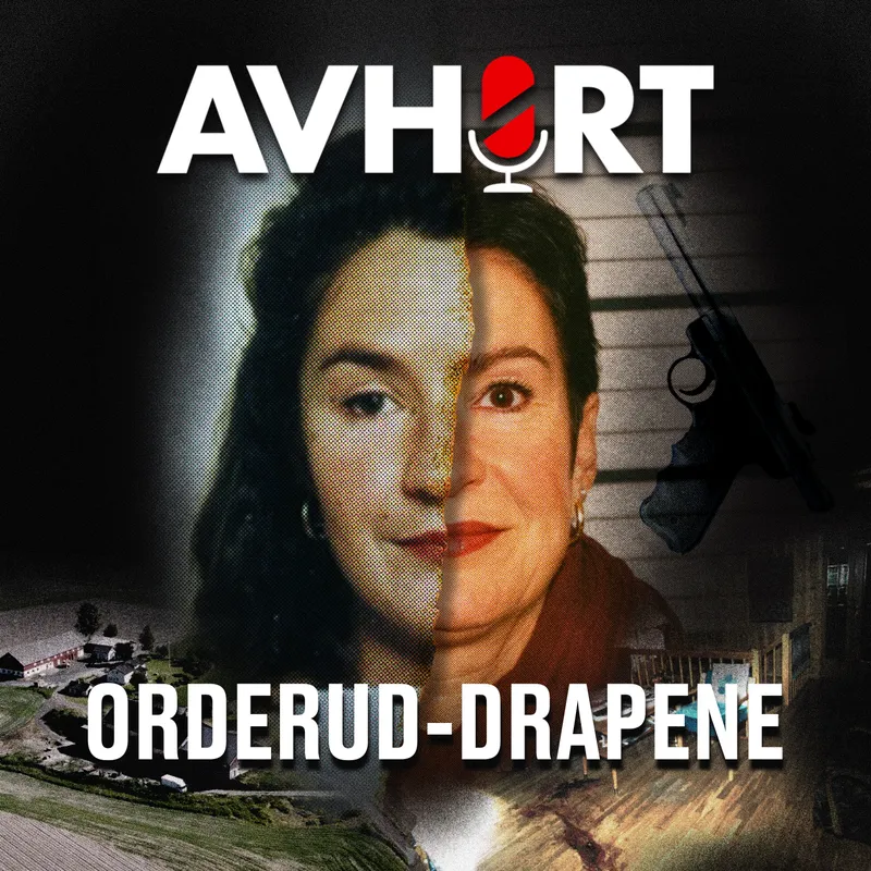 Orderud-drapene del 1 artwork