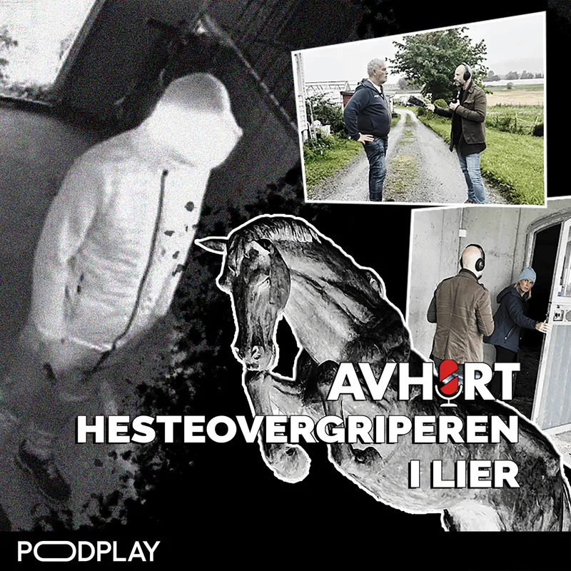 Hesteovergriperen i Lier Del 2 artwork