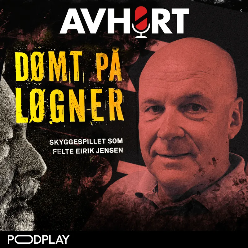 Per Asle Rustad: "Dømt på løgner" Del 2 artwork