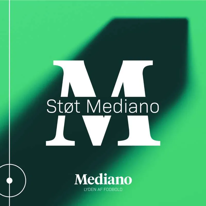 MEDIANO BUSINESS: Sådan husker vi 2024 artwork