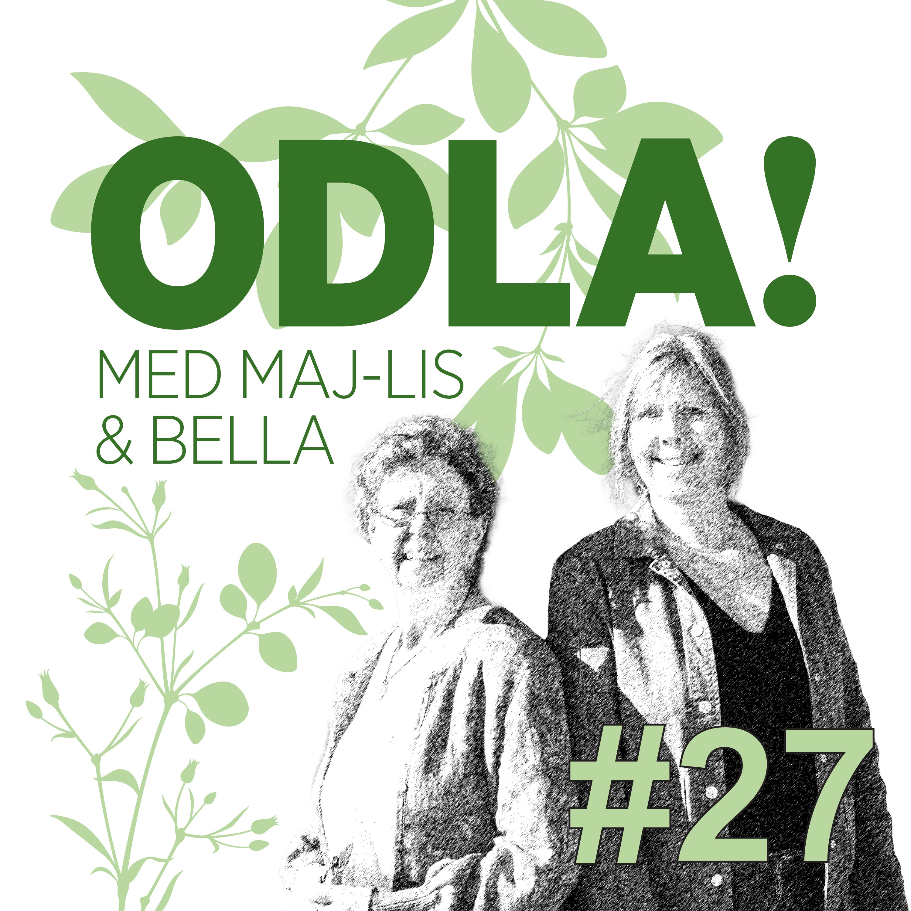 Biodynamisk odling, Lotta Lundgren & ett och annat bubbligt blad artwork