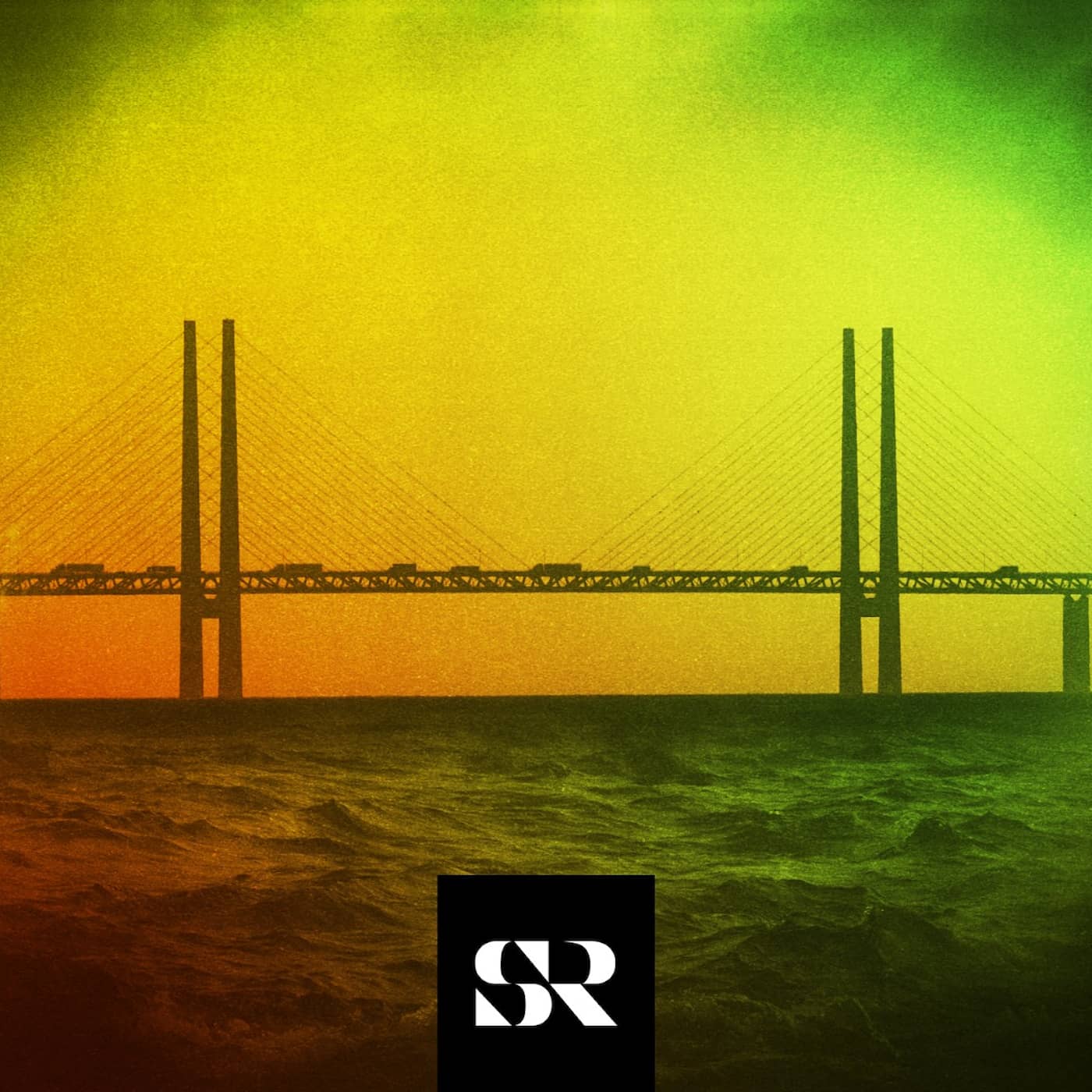 Så kan ryska vapen hamna hos svenska gängen artwork