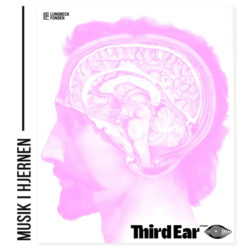 Musik i hjernen afsnit 6: Hallucinationer artwork